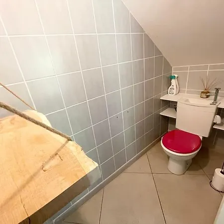 Apartment Agreable Et Grande Maison Avec Parking + Jardin Villeurbanne